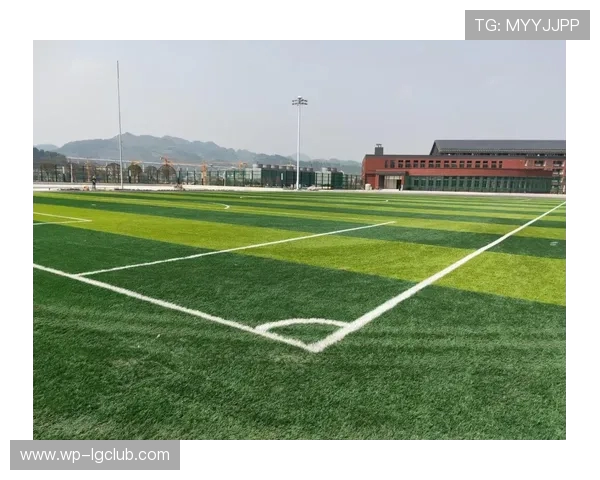 中国顶级足球草坪建设标准与绿色生态体育场发展的融合探索 中国顶级足球草坪建设标准与绿色生态体育场发展的融合探索